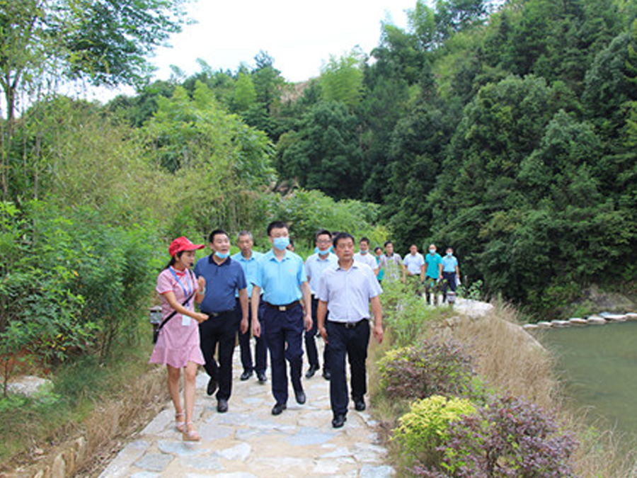 鄂旅投咸寧集團(tuán)與九宮山管委會(huì)聯(lián)合組織黨建調(diào)研活動(dòng),助力鄉(xiāng)村振興發(fā)展
